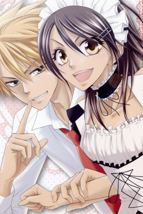 Президент студсовета — горничная! (Maid-Sama!)