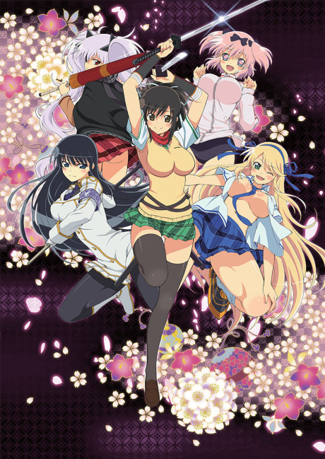 Сэнран Кагура (Senran Kagura: Ninja Flash!)